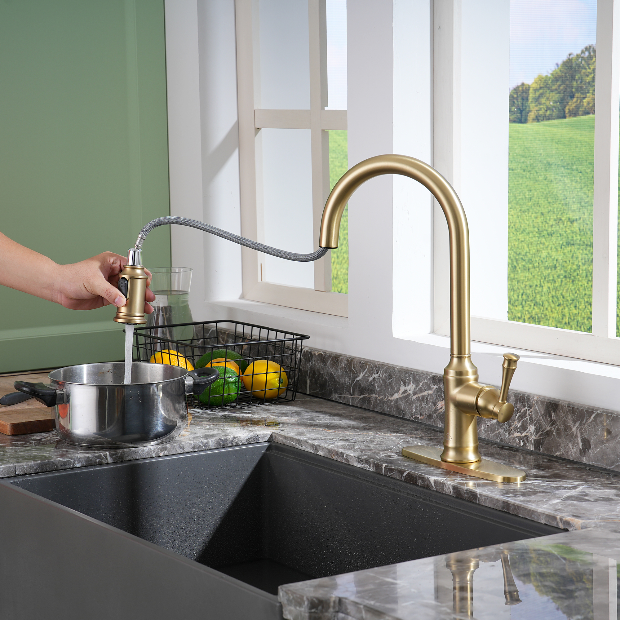 Single Handle Pull Out Sprayer Kitchen Faucet High Arc with Pull Down Sprayer head, Deckplate Included in Brushed Nickel/Matte Black/Brushed Gold