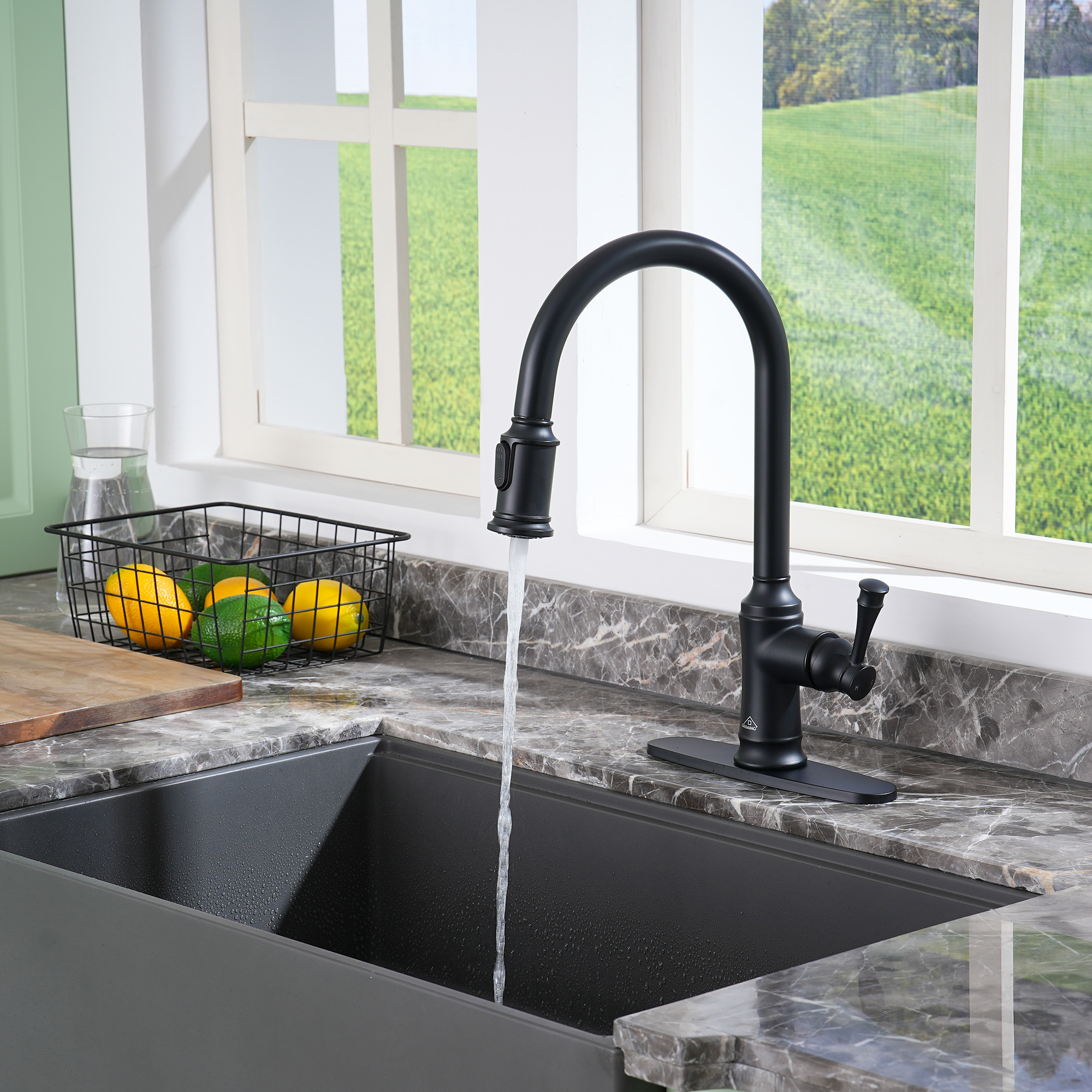 Single Handle Pull Out Sprayer Kitchen Faucet High Arc with Pull Down Sprayer head, Deckplate Included in Brushed Nickel/Matte Black/Brushed Gold