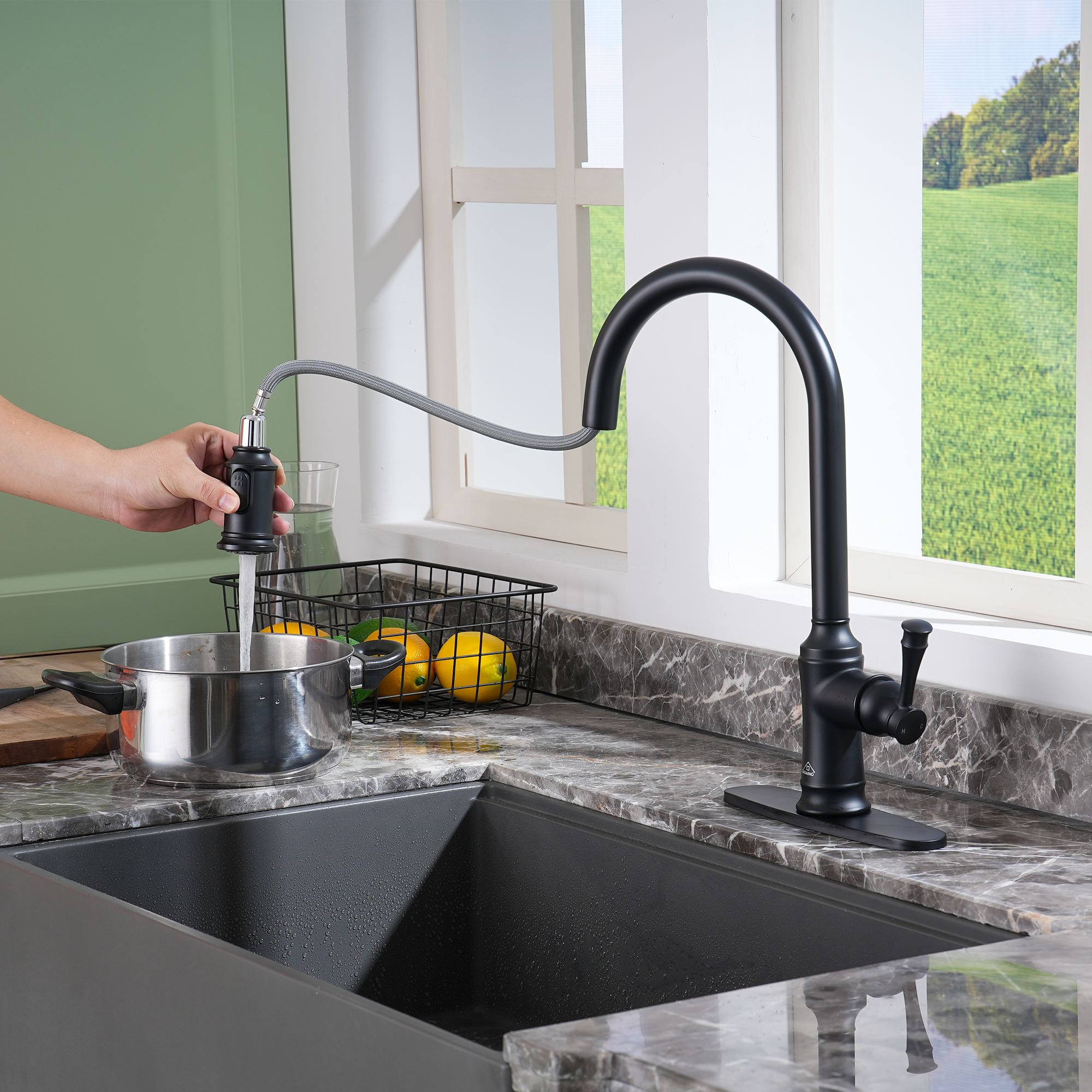 Single Handle Pull Out Sprayer Kitchen Faucet High Arc with Pull Down Sprayer head, Deckplate Included in Brushed Nickel/Matte Black/Brushed Gold