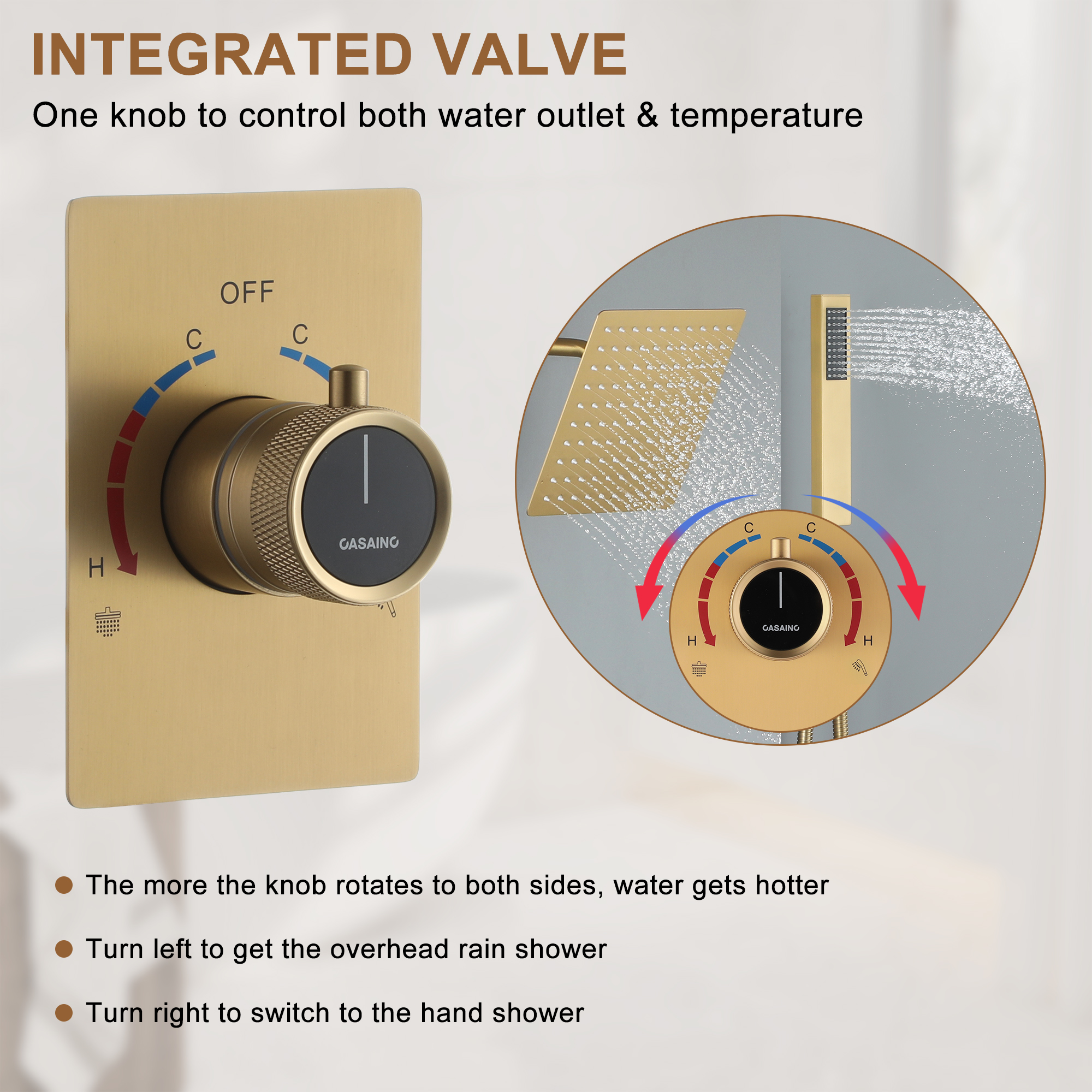 2-Function Single Handle 1-Spray Shower Faucet 1.8 GPM with Easy to Install in. Brushed Gold/Brushed Nickel