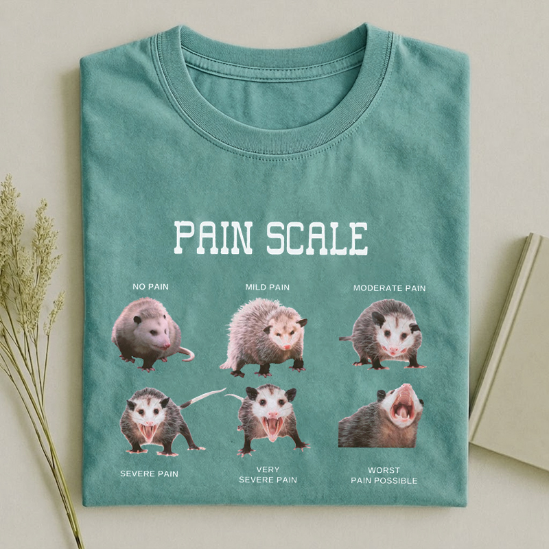 Nurse Pain Scale Pain Assessment Funny Nurse T-Shirt