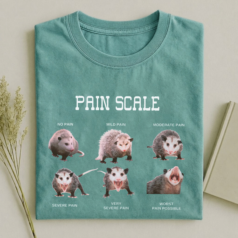 Nurse Pain Scale Pain Assessment Funny Nurse T-Shirt