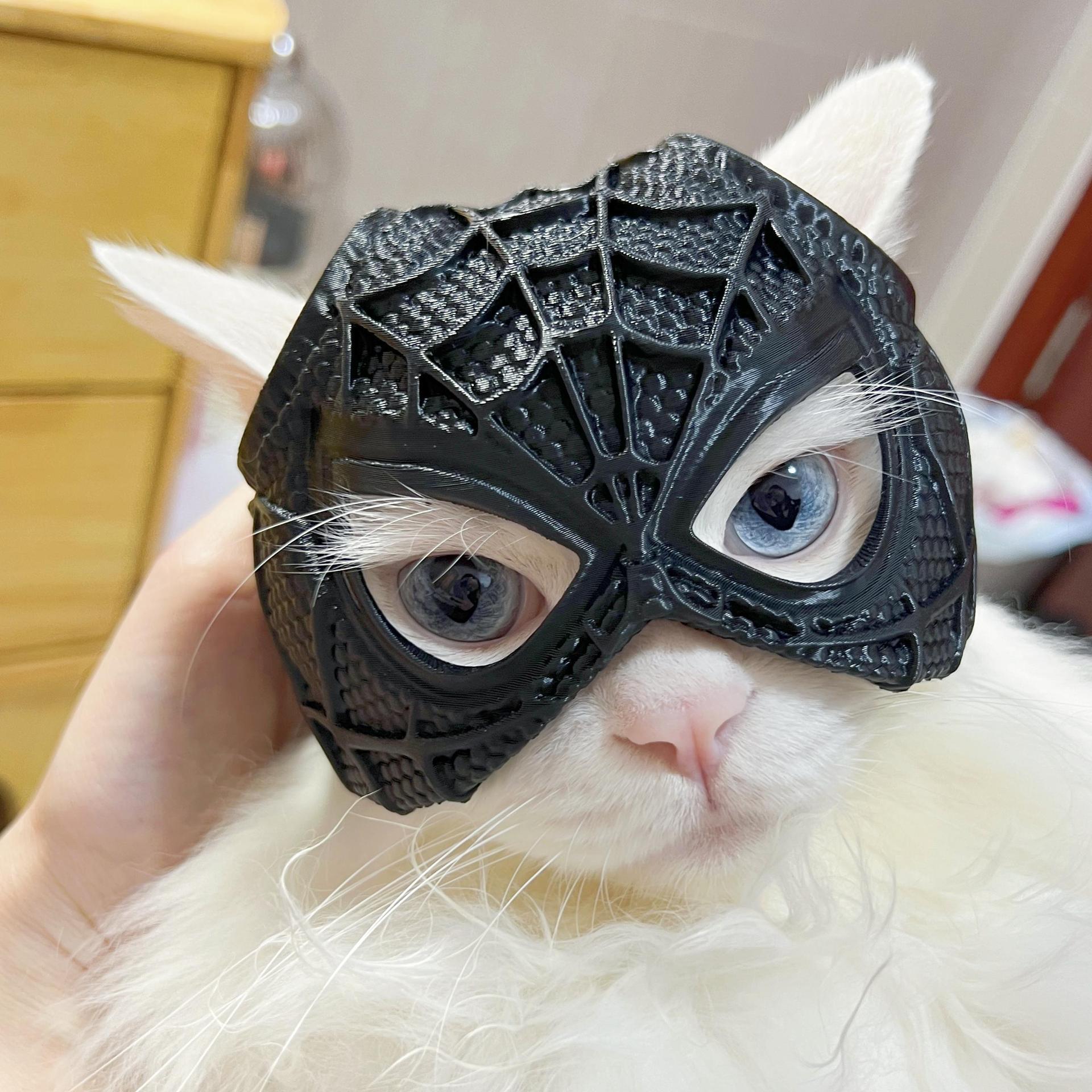 Spider-Man Cat Helmet (Raw Kit)