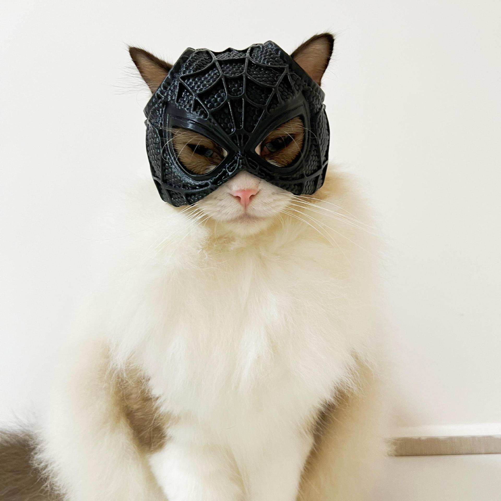 Spider-Man Cat Helmet (Raw Kit)