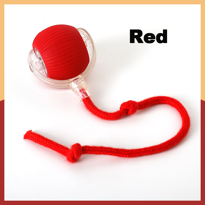 Interactive Cat Toys Ball