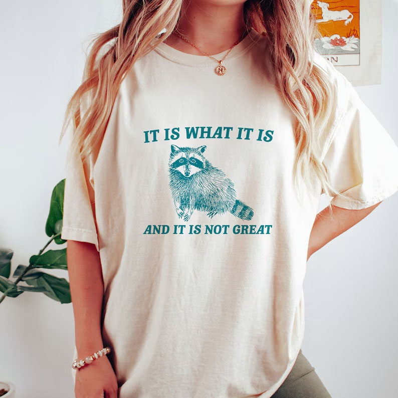 It Is What It Is And It Is Not Great shirt