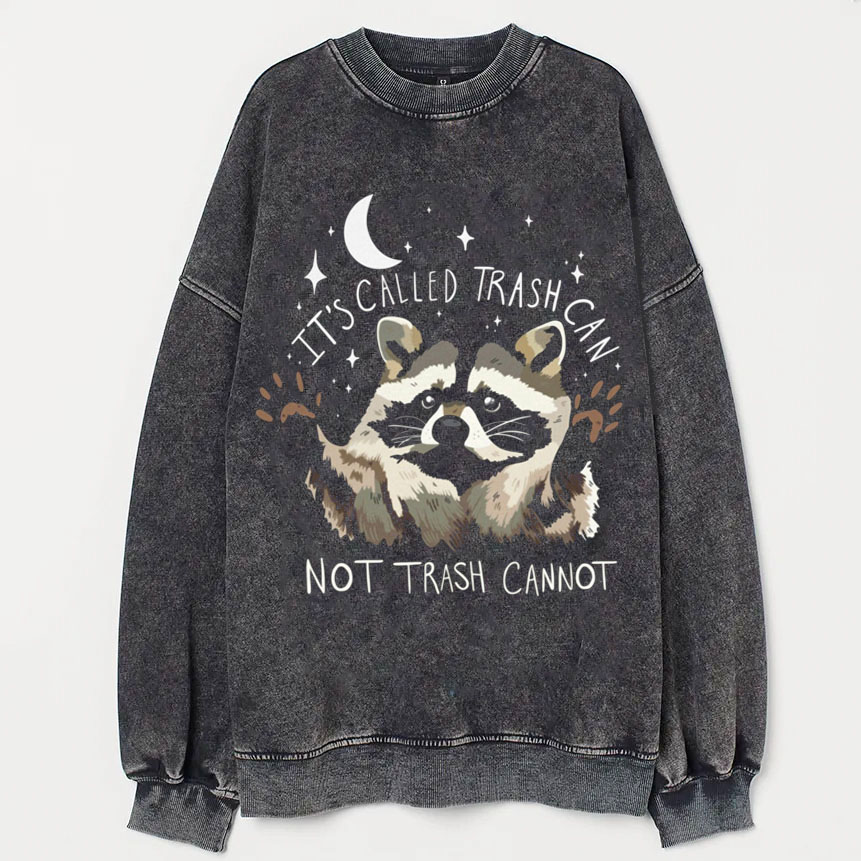 Raccoon Sweatshirt