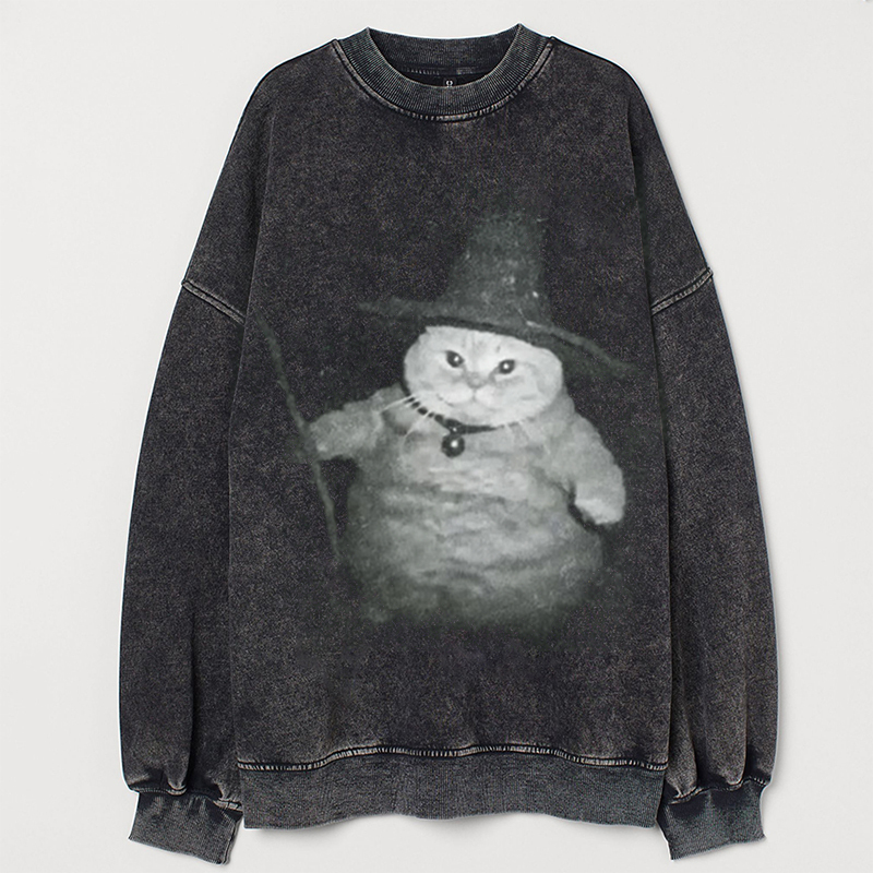 Wizard Cat Vintage T-shirt/Sweatshirt