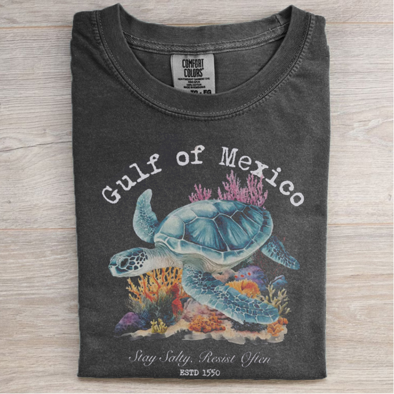 Gulf Of Mexico T-Shirt