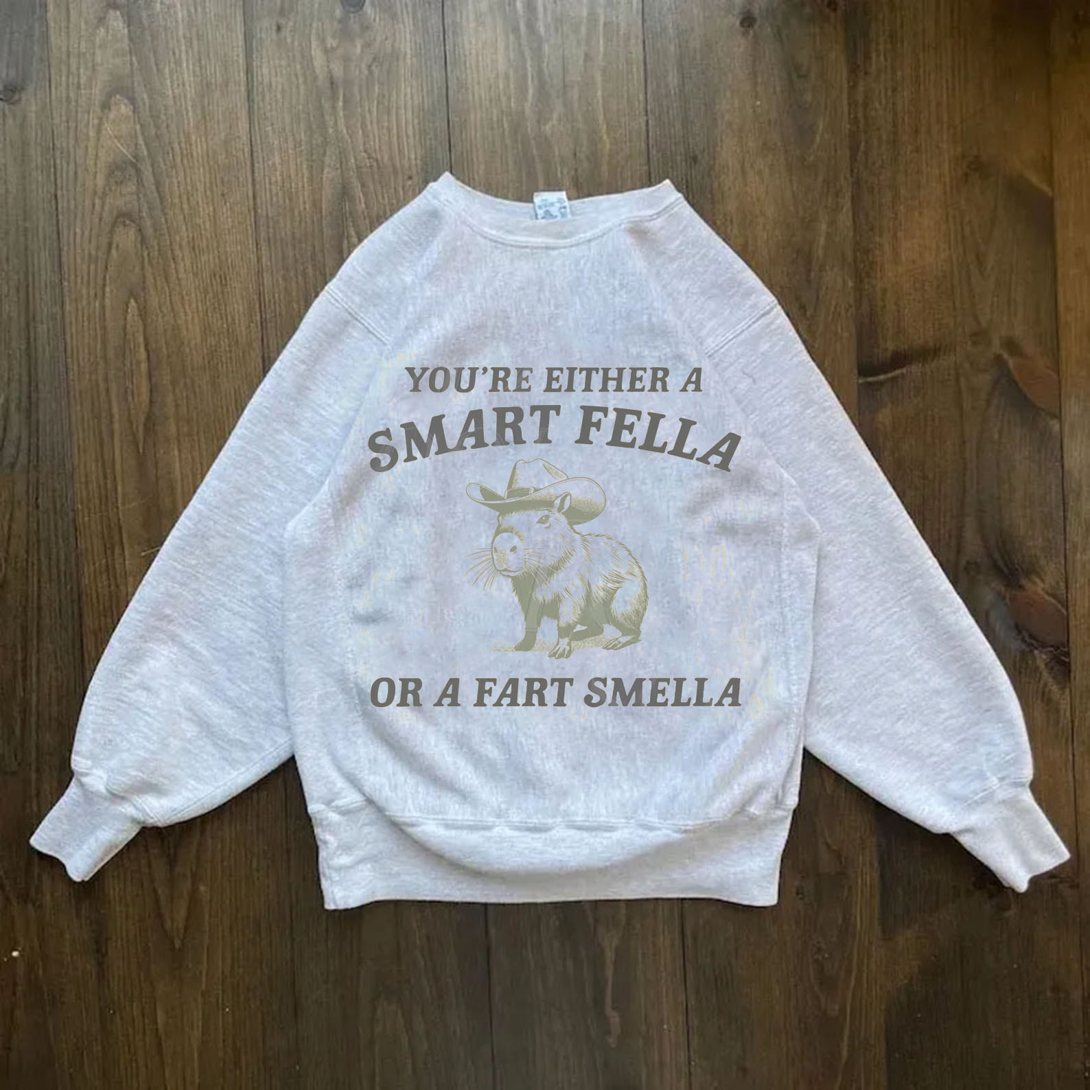 Are You A Smart Fella Or Fart Smella Vintage Style Sweatshirt