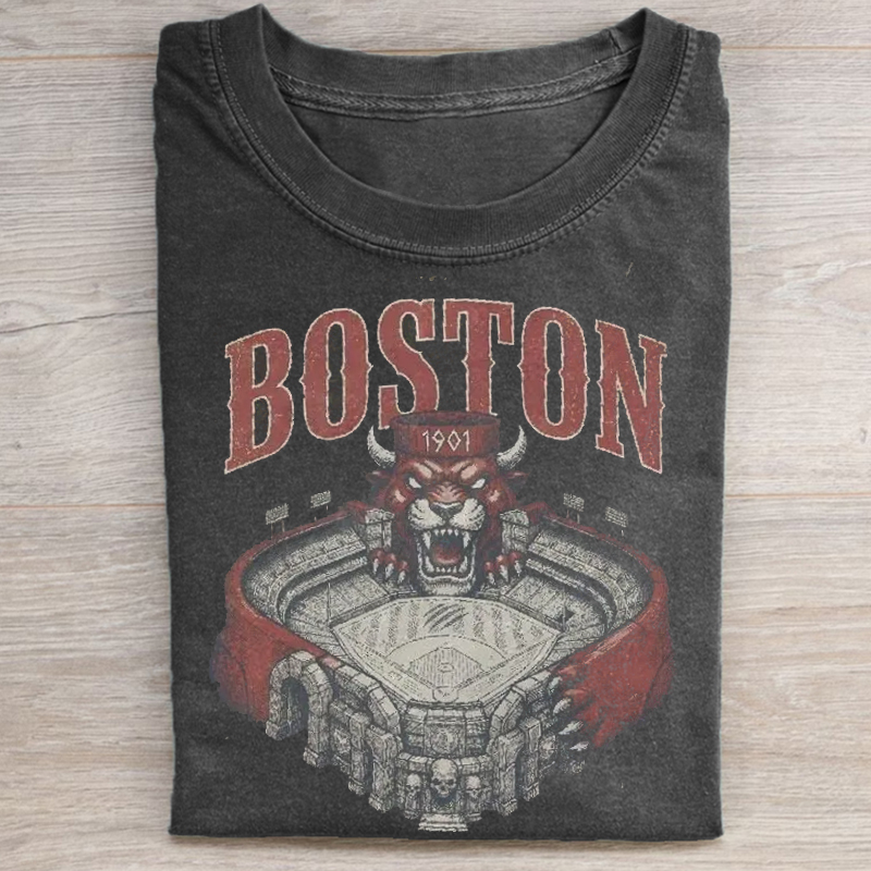 Vintage Boston Baseball T-shirt