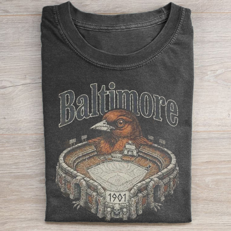 Vintage Baltimore Baseball T-shirt