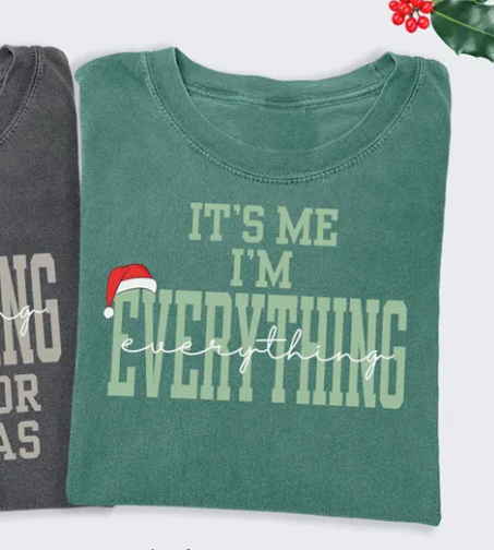 I Have Everything I Want For Christmas T-shirt