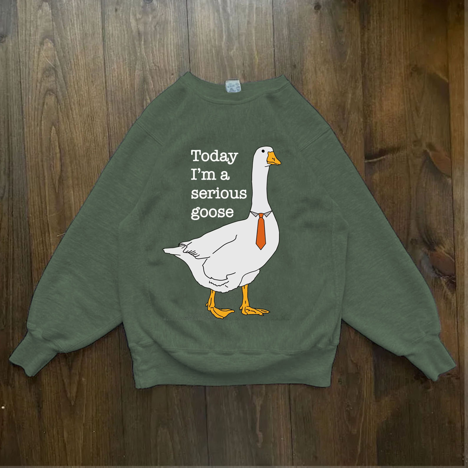 Today I'm A Serious Goose Sweatshirt