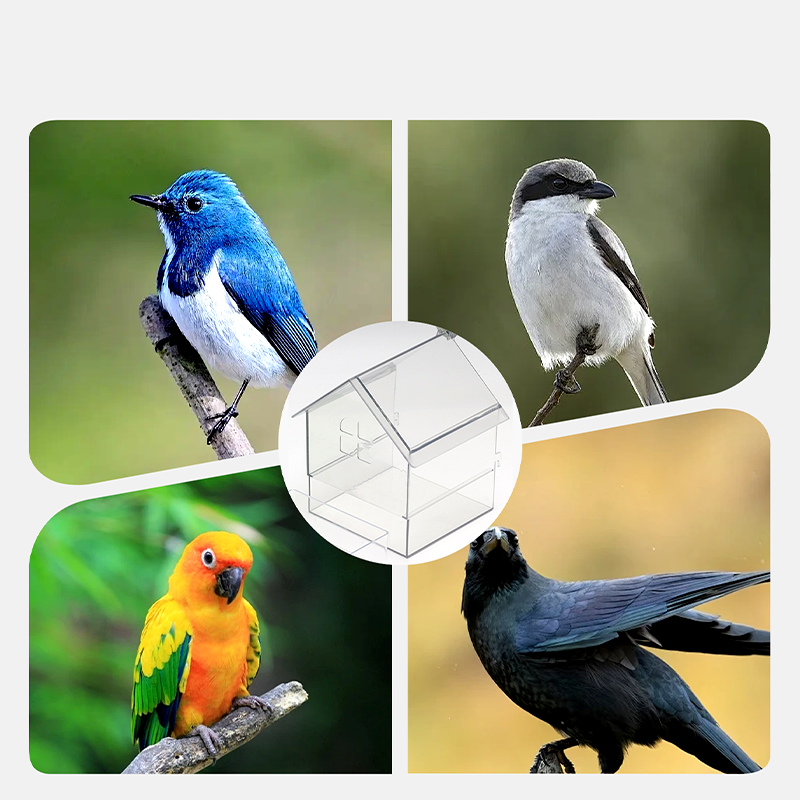 🌟Pull-Out External Parrot Feeder