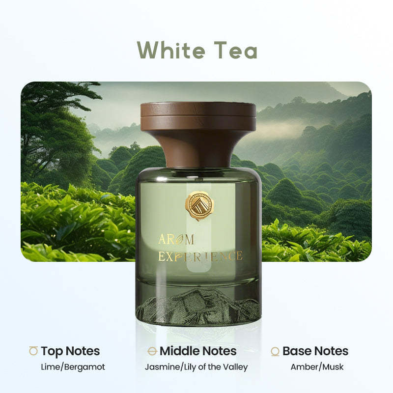 🌹Botanical Fragrance Car Oil Diffuser✨