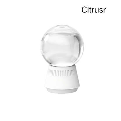 🔥Snow Globe-Shaped Inverted Aromatherapy