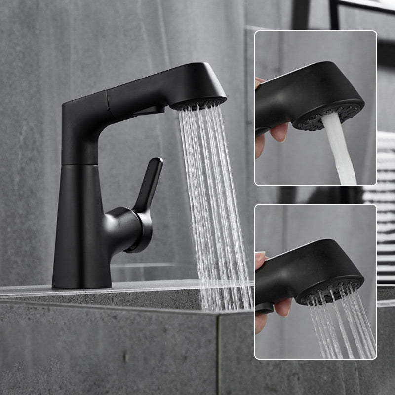 1 Hole Bathroom Faucet with Pull Out Sprayer