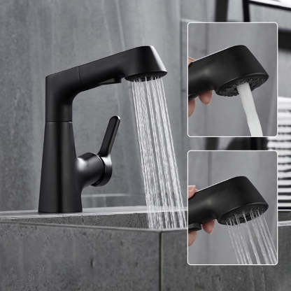 1 Hole Bathroom Faucet with Pull Out Sprayer