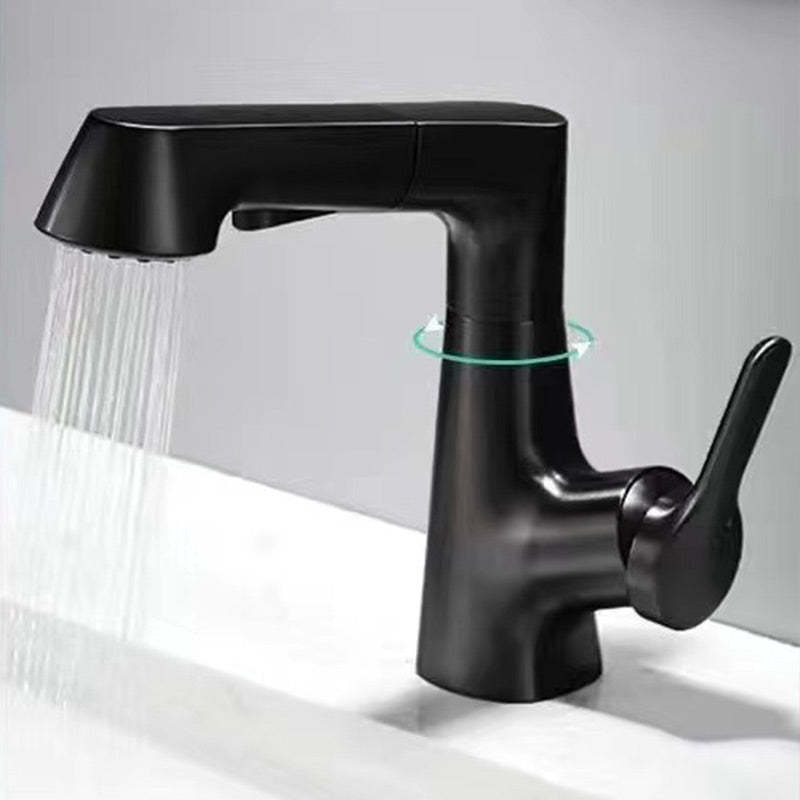 1 Hole Bathroom Faucet with Pull Out Sprayer