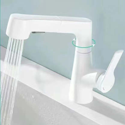 1 Hole Bathroom Faucet with Pull Out Sprayer