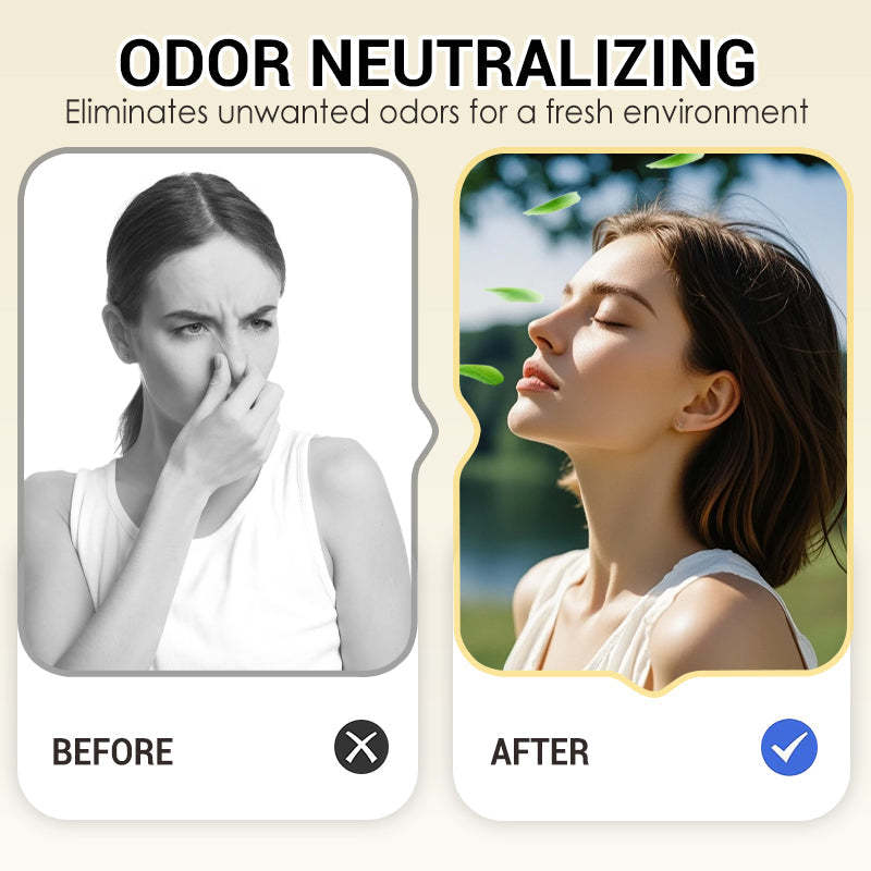 🔥Snow Globe-Shaped Inverted Aromatherapy