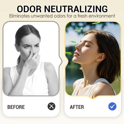 🔥Snow Globe-Shaped Inverted Aromatherapy