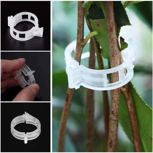 🗜️Clips For Climbing Plants – Plastic tomato ties and plant fasteners 🌱🍅