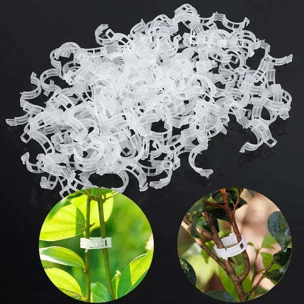 🗜️Clips For Climbing Plants – Plastic tomato ties and plant fasteners 🌱🍅