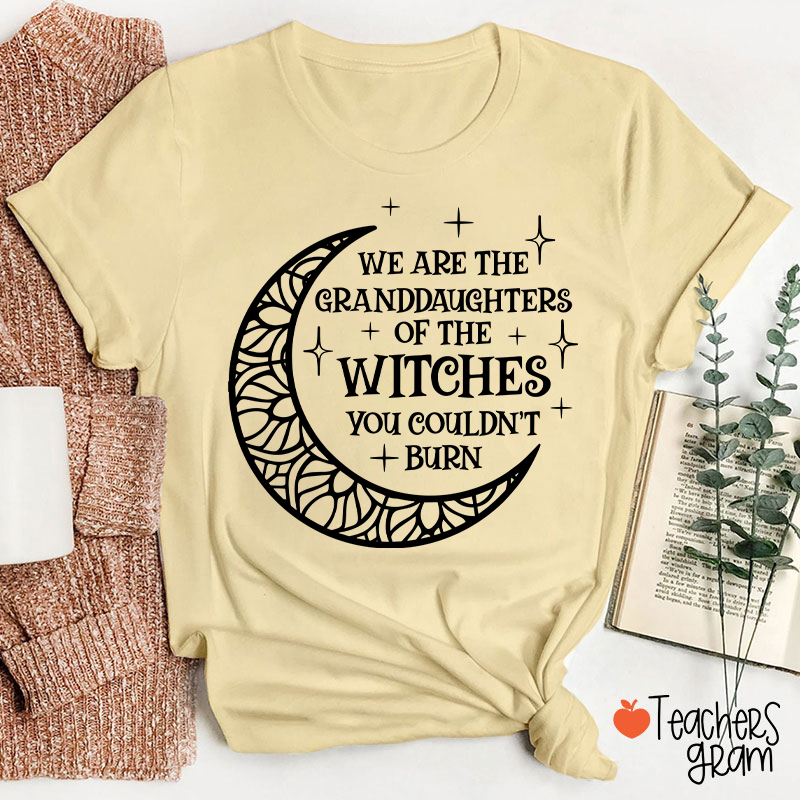 The Witches You Couldn't Burn Teacher T-Shirt