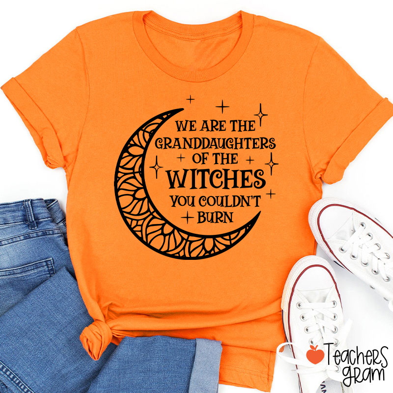 The Witches You Couldn't Burn Teacher T-Shirt