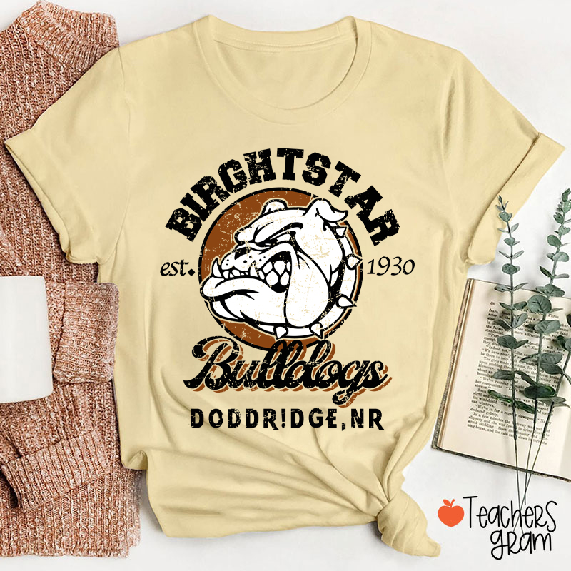 Personalized Mascot Vintage School Spirit Teacher T-Shirt