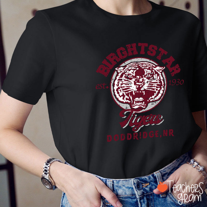 Personalized Mascot Vintage School Spirit Teacher T-Shirt