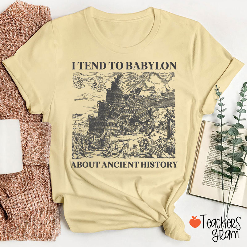 I Tend To Babylon About Ancient History Teacher T-Shirt