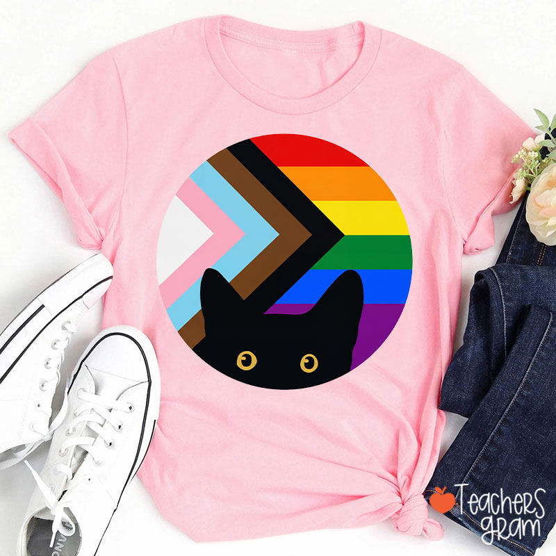 Rainbow And Black Cat Teacher T-Shirt