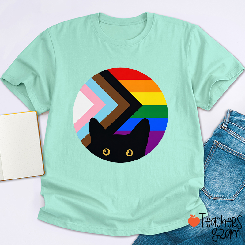 Rainbow And Black Cat Teacher T-Shirt