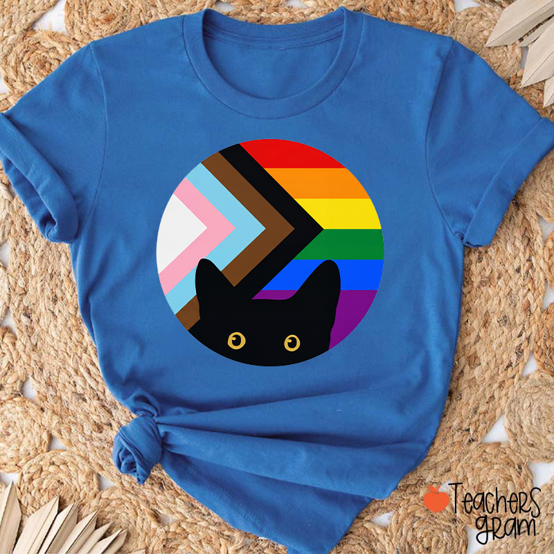 Rainbow And Black Cat Teacher T-Shirt