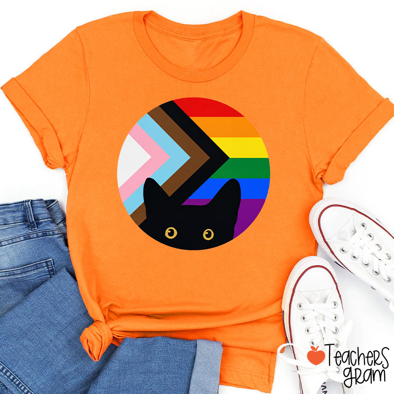 Rainbow And Black Cat Teacher T-Shirt