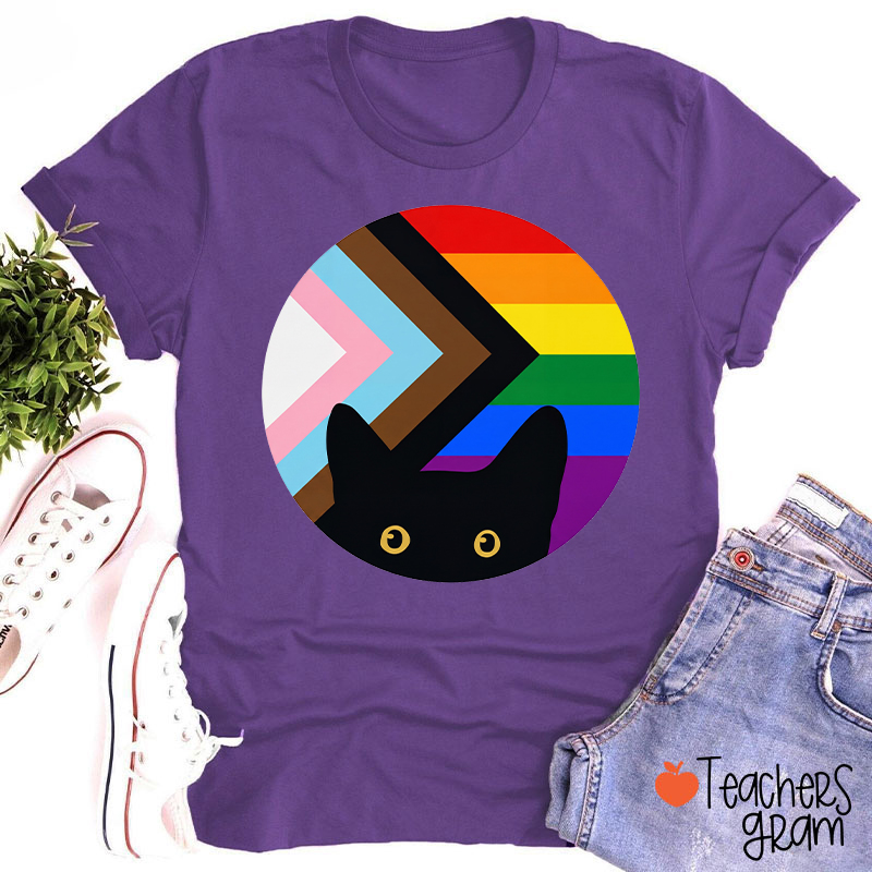 Rainbow And Black Cat Teacher T-Shirt