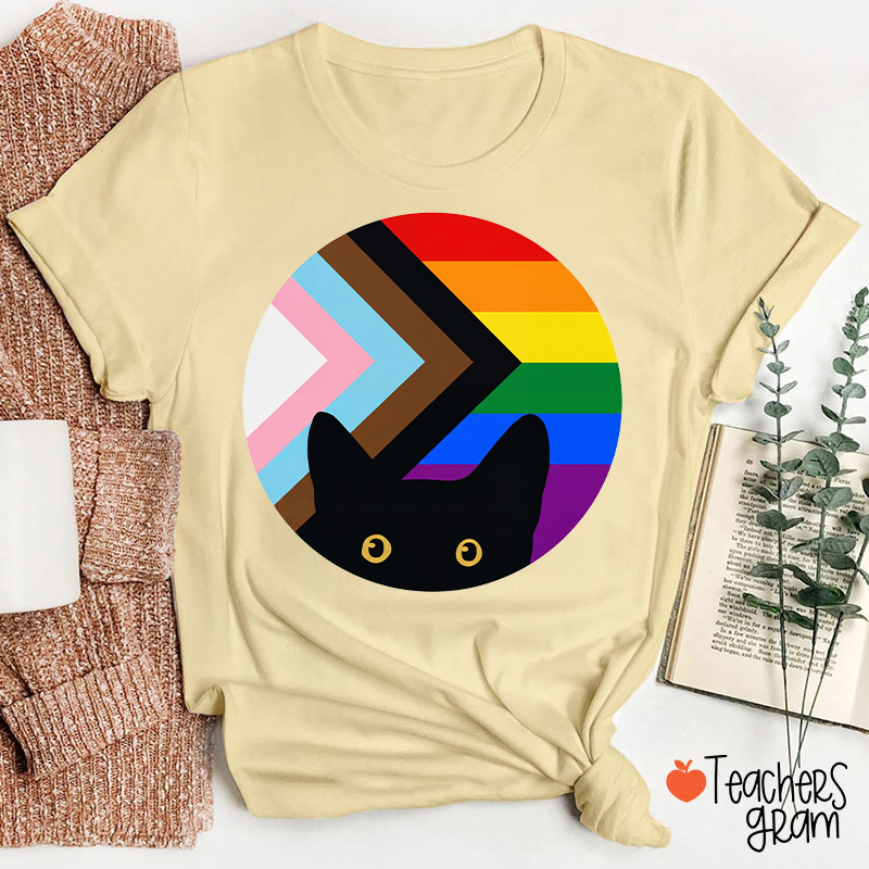 Rainbow And Black Cat Teacher T-Shirt