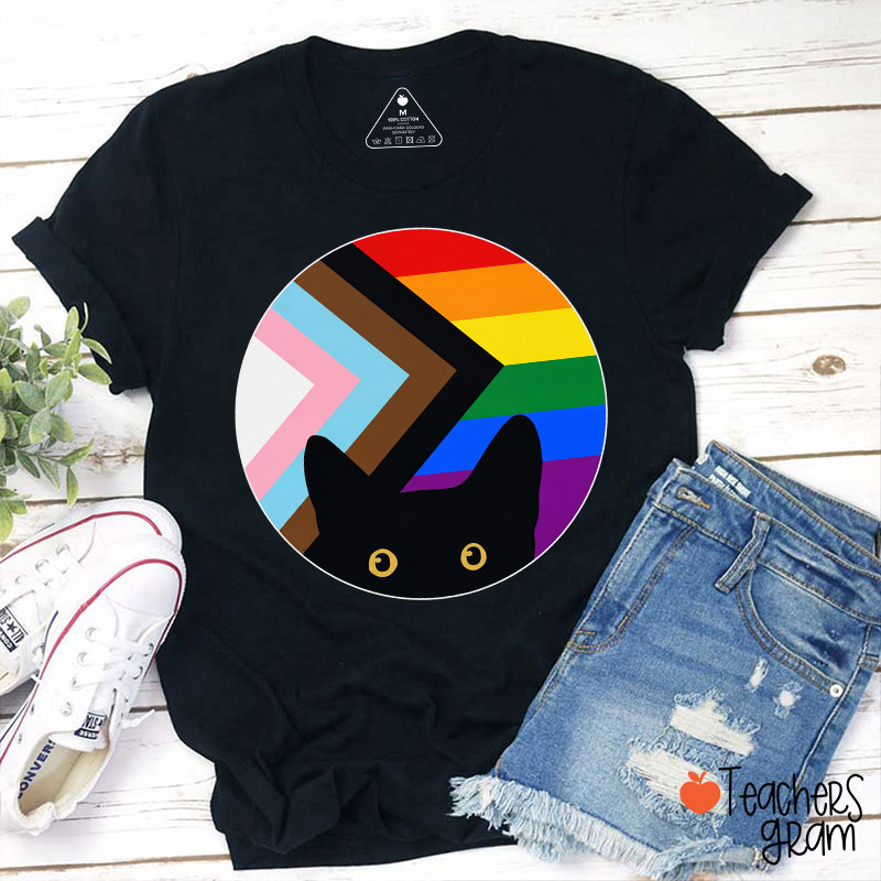 Rainbow And Black Cat Teacher T-Shirt