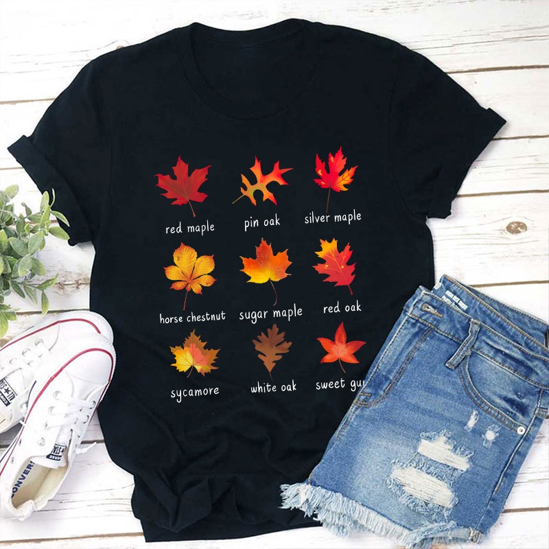 Meet The Leaves With Me Teacher T-Shirt