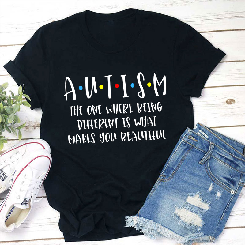 Autism Teacher T-Shirt