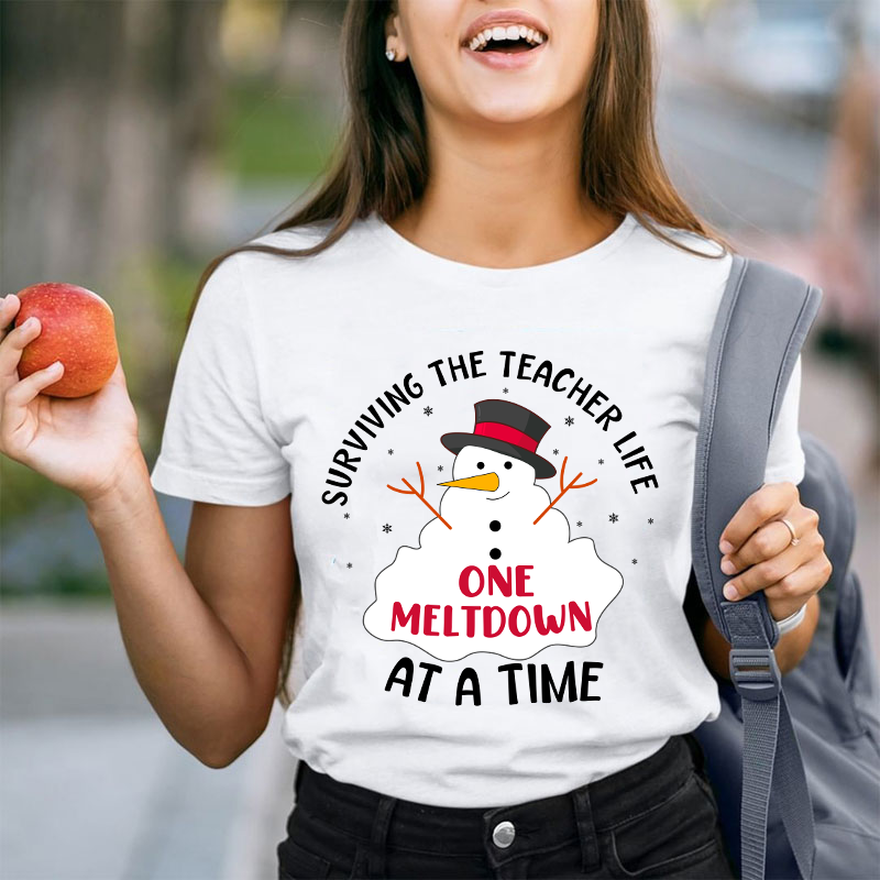Surviving The Teacher At A Time Teacher T-Shirt