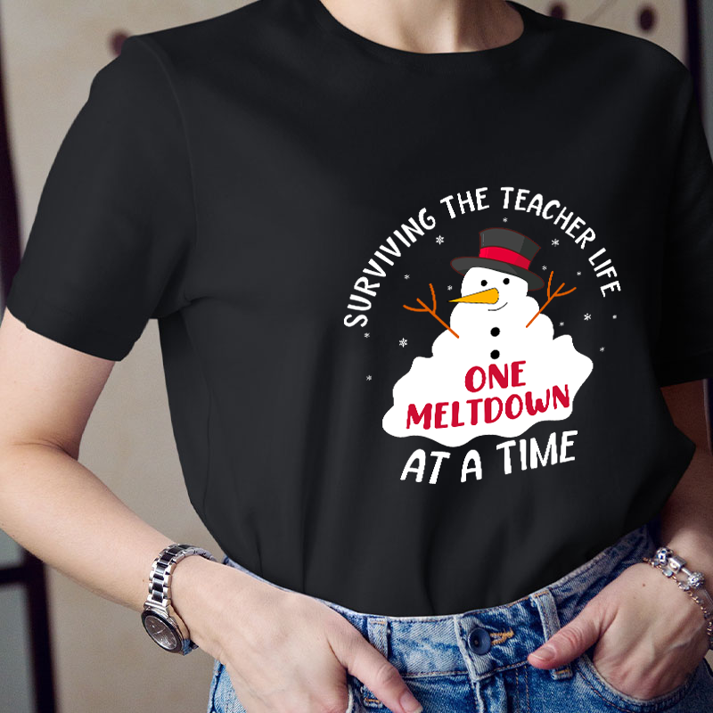 Surviving The Teacher At A Time Teacher T-Shirt