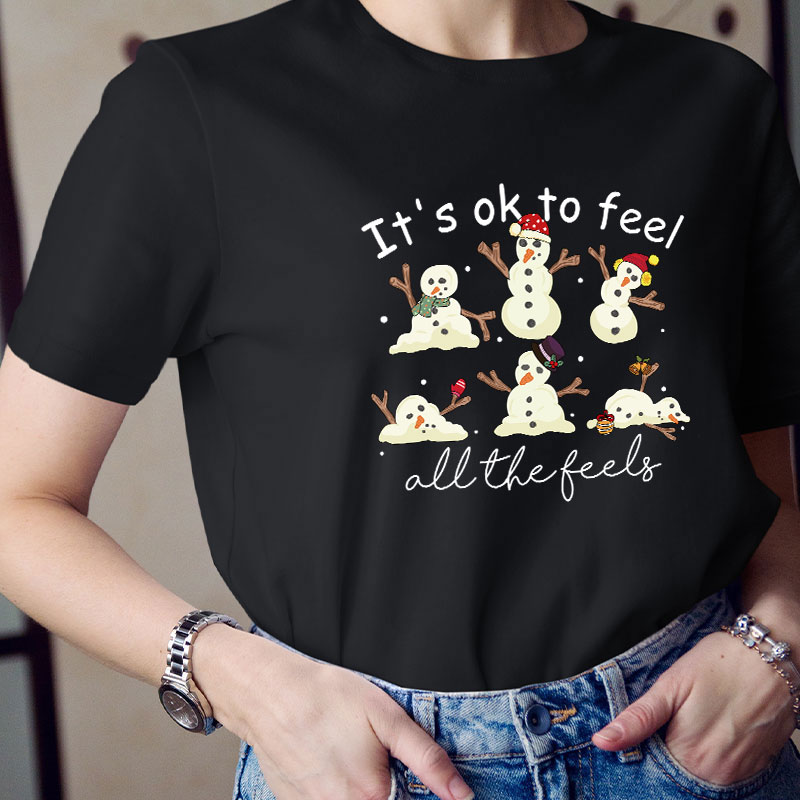 It's Ok To Feel All The Feels Teacher T-Shirt