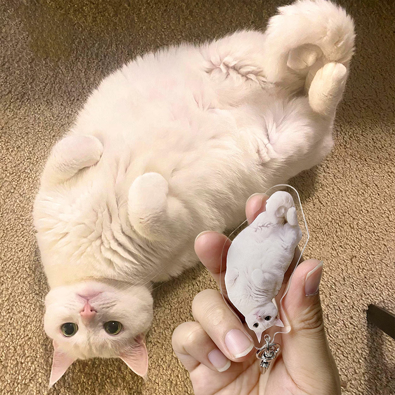 Personalized Pet Photo Teacher Keychain