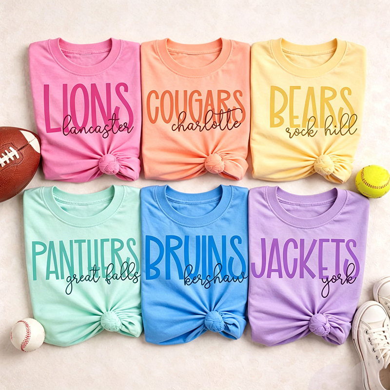 Personalized Mascot And Town School Team Spirit Teacher T-Shirt
