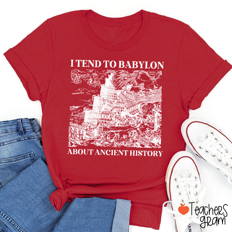 I Tend To Babylon About Ancient History Teacher T-Shirt