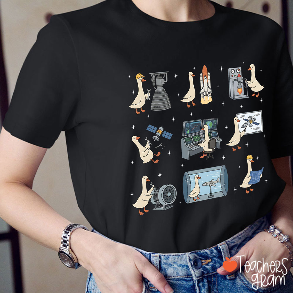 Aerospace Engineer Silly Goose Teacher T-Shirt